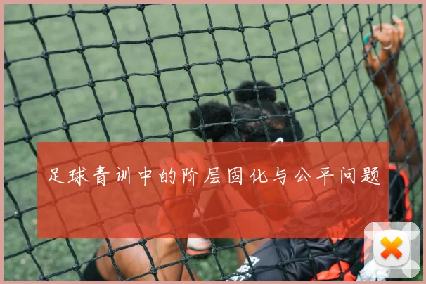 足球青训中的阶层固化与公平问题