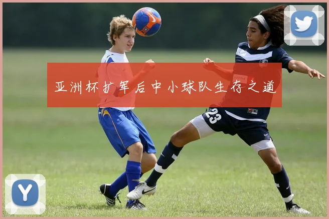 亚洲杯扩军后中小球队生存之道