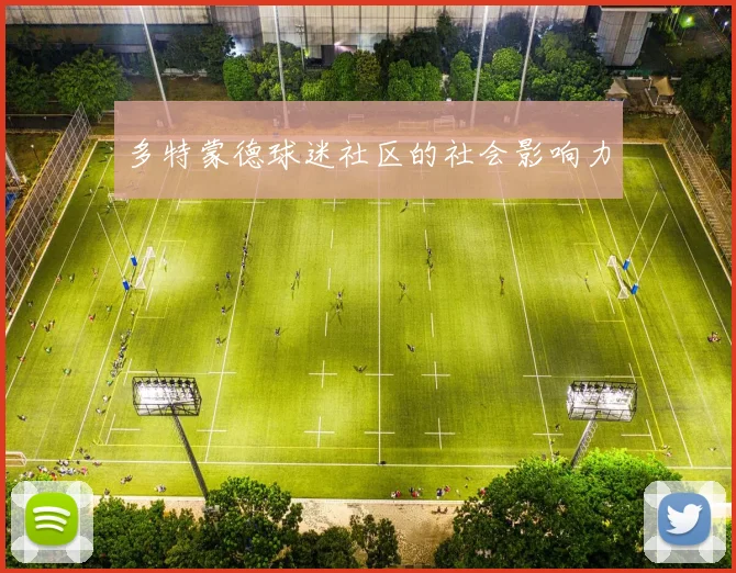 多特蒙德球迷社区的社会影响力